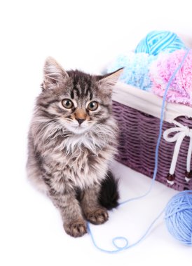 komik Gri kedi ve üzerinde beyaz izole iplik hasır sepet topu
