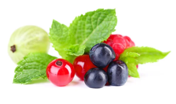 Forest berries isolated on white — Stock Photo, Image