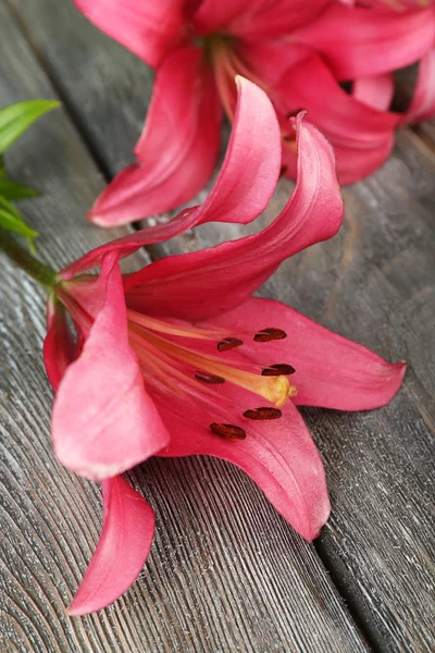 Beautiful lily on wooden background — Stock Photo, Image