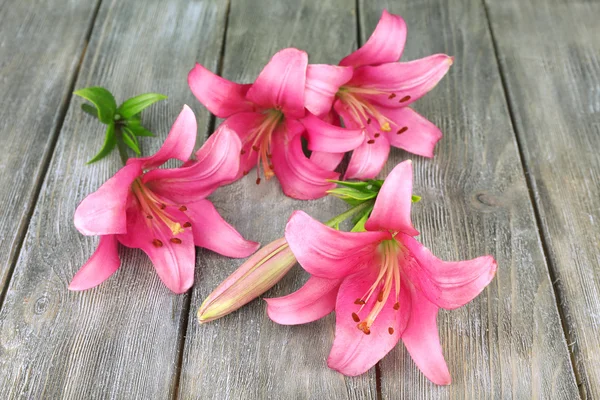 Beautiful lily on wooden background — Stock Photo, Image