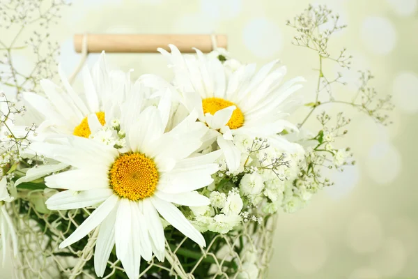 Beautiful chamomiles in basket on bright background — Stock Photo, Image