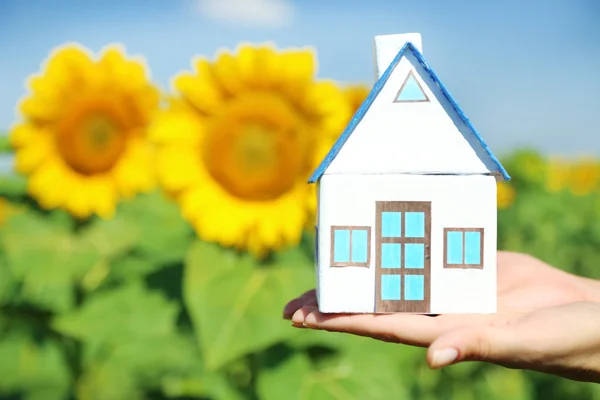 Kleines Haus in Händen in Sonnenblumenfeld Hintergrund — Stockfoto