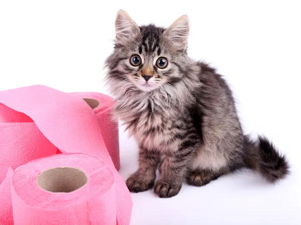 Симпатичный котенок, играющий с рулоном туалетной бумаги, изолированный на белом — стоковое фото