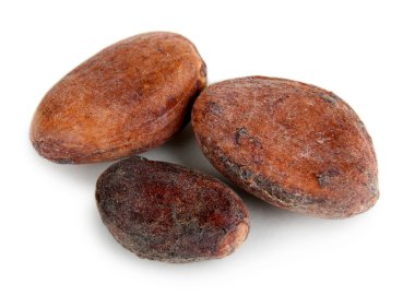 Beyaz kakao çekirdekleri.