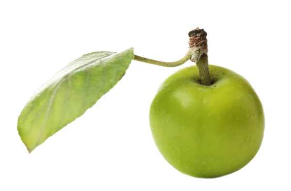 Grüne Äpfel isoliert auf weiß — Stockfoto