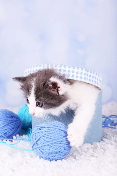 Leuk weinig katje — Stockfoto