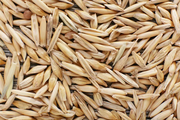 Rye grains, close-up — Stock Photo, Image