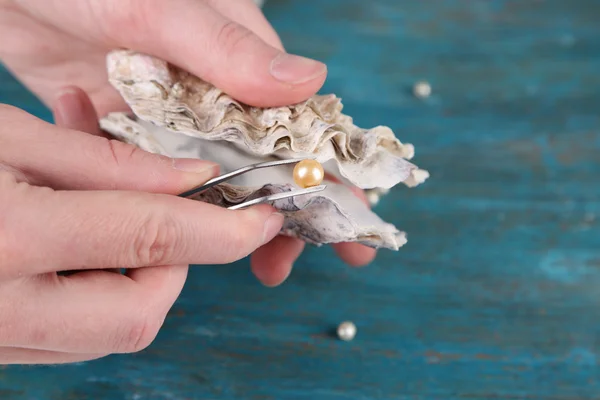 手用镊子拿着珍珠和木制背景上的牡蛎 — 图库照片