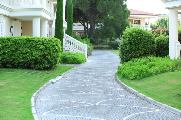 Hermoso paisaje en el parque — Foto de Stock