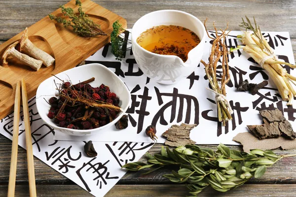 Ingredientes tradicionales de la medicina herbal china — Foto de Stock