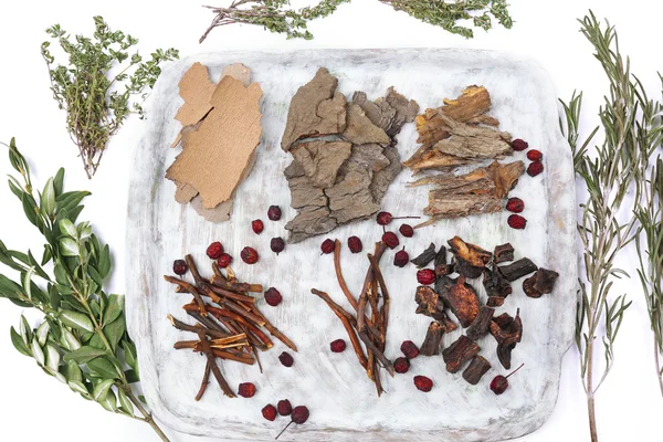 Ingredientes tradicionales de la medicina herbal china — Foto de Stock