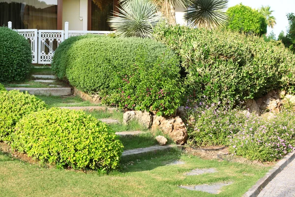 Beautiful landscaping in garden — Stock Photo, Image
