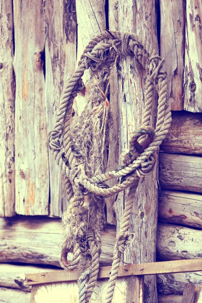 Oud touw op houten muur — Stockfoto