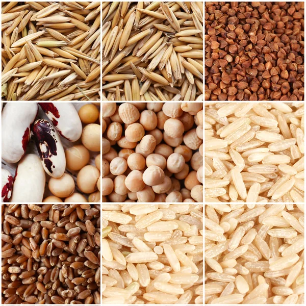 Groats and grains background — Stock Photo, Image