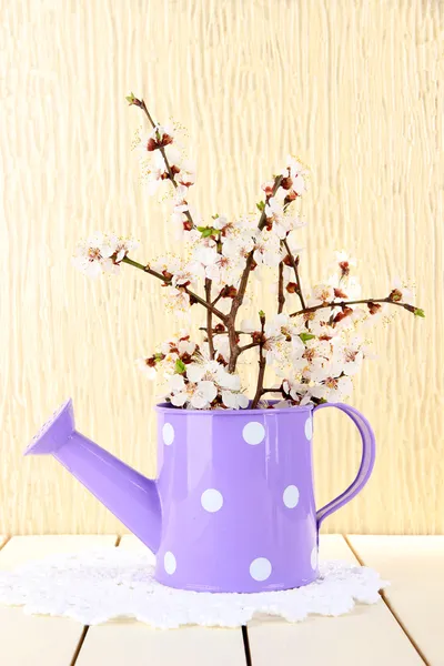 美しい開花枝 — ストック写真