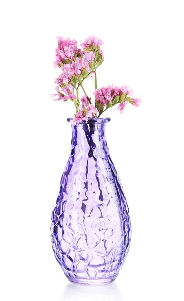 Flores de verão em vaso — Fotografia de Stock