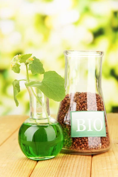 Photo conceptuelle du biocarburant . — Photo