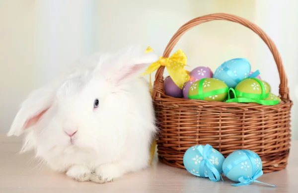 Lapin blanc mignon et oeufs de Pâques — Photo