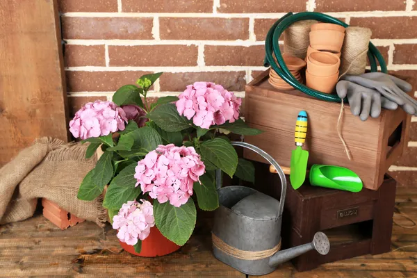Εργαλεία του κηπουρού — Φωτογραφία Αρχείου