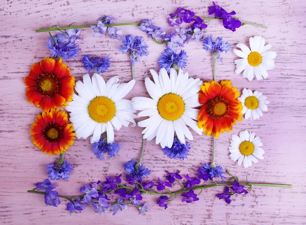 Gyönyörű vadvirágok — Stock Fotó