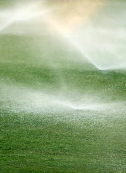 Automatic sprinklers watering grass — Stock Photo, Image