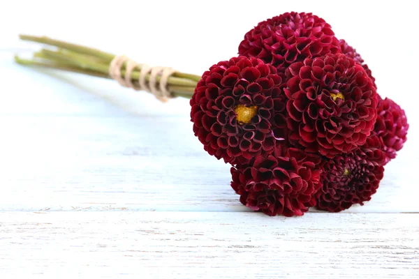 Dahlia flowers on table — Stock Photo, Image