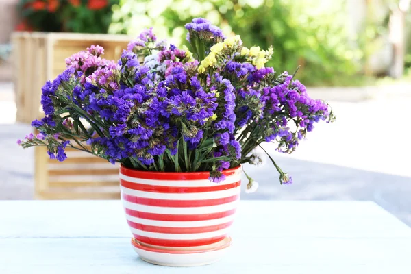 Lindas flores em vaso — Fotografia de Stock