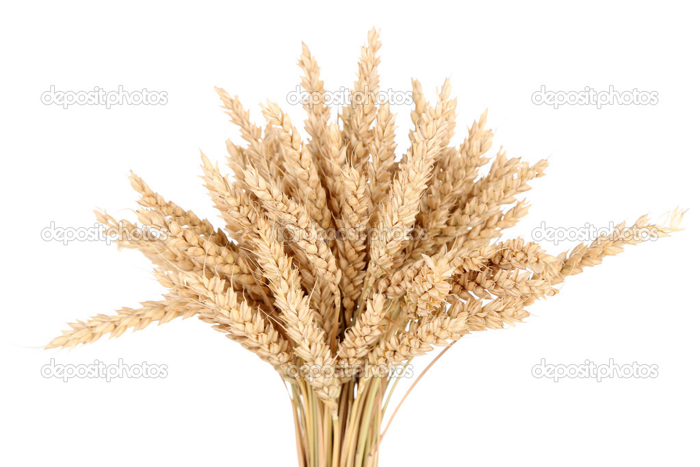 Sheaf of wheat