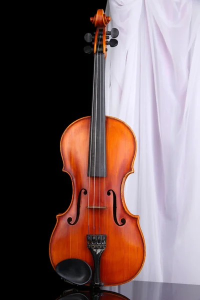Violino classico — Foto Stock