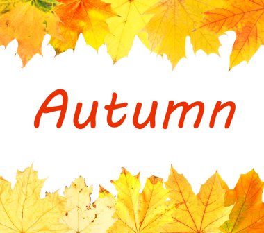 farklı yaprak çerçeve