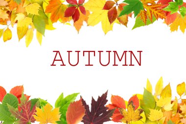 farklı yaprak çerçeve