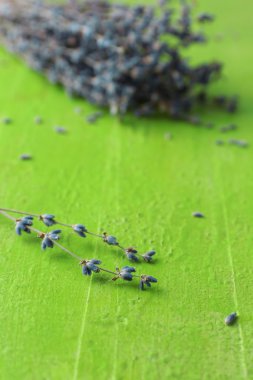 Lavanta Çiçekleri Arkaplanı