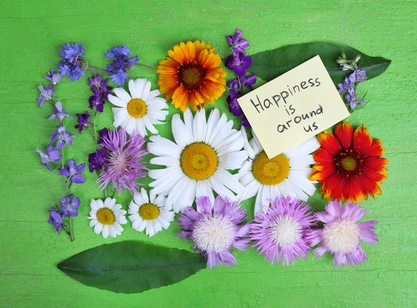 Hermosas flores silvestres en madera —  Fotos de Stock