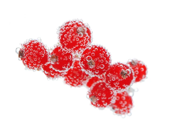 Beautiful ripe red currant in water with bubbles, isolated on white — Stock Photo, Image