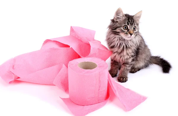 Niedliches Kätzchen, das mit einer Rolle Toilettenpapier spielt, isoliert auf weiß — Stockfoto