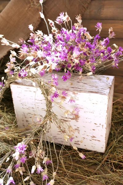 Beautiful flowers, indoors — Stock Photo, Image
