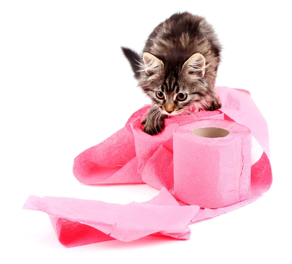 Chaton mignon jouant avec rouleau de papier toilette, isolé sur blanc — Photo