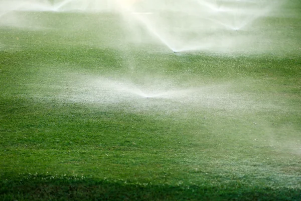 Irrigatori automatici irrigazione erba — Foto Stock