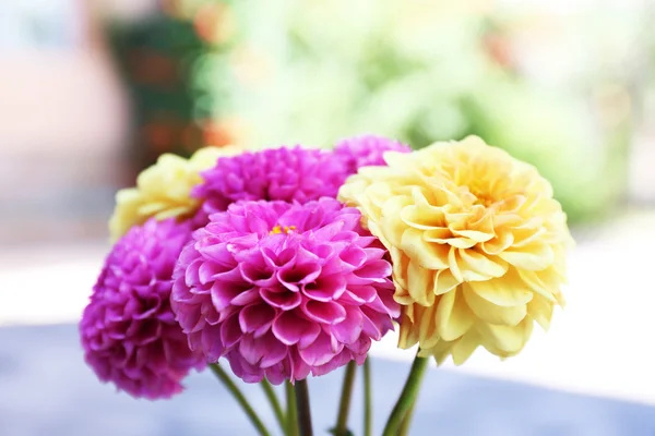 Dahlia flores em vaso na mesa, ao ar livre — Fotografia de Stock