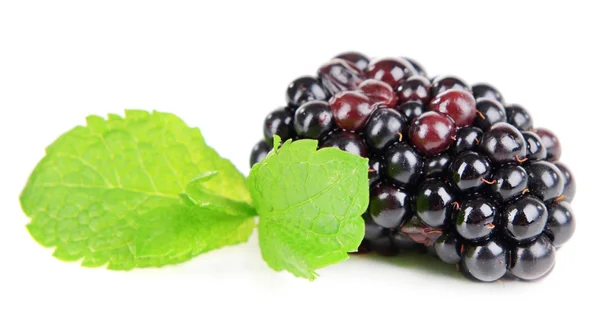 Delicious blackberries on white — Stock Photo, Image