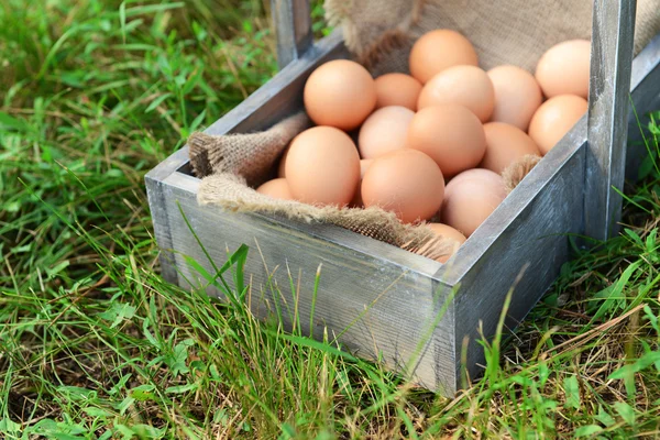 Huevos en cesta de madera —  Fotos de Stock