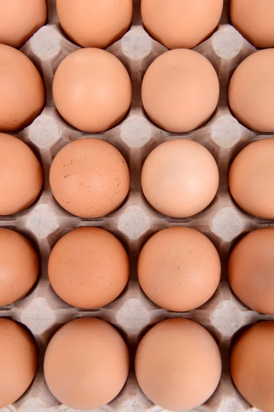 Eier in Papierschublade — Stockfoto