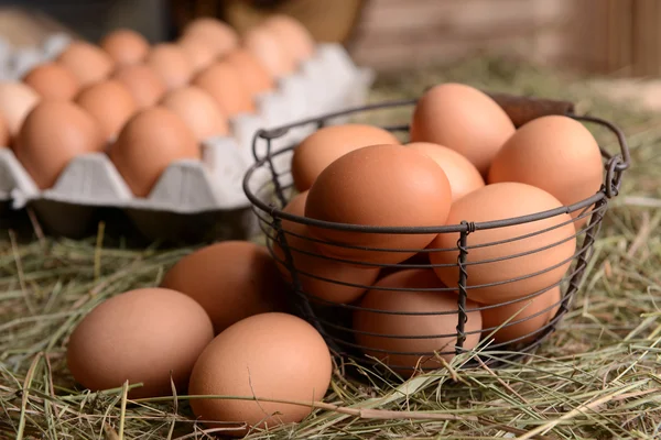 Huevos en canasta de mimbre — Foto de Stock