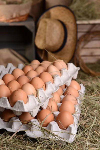 Huevos en bandejas de papel — Foto de Stock