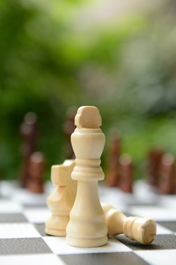 Satranç taşlı satranç tahtası