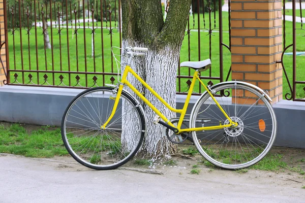 Bicicleta cerca del árbol en el parque — Foto de Stock