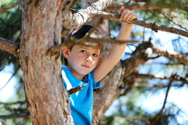 Anak kecil yang bahagia duduk di pohon di taman — Stok Foto