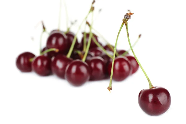 Cerises douces isolées sur blanc — Photo