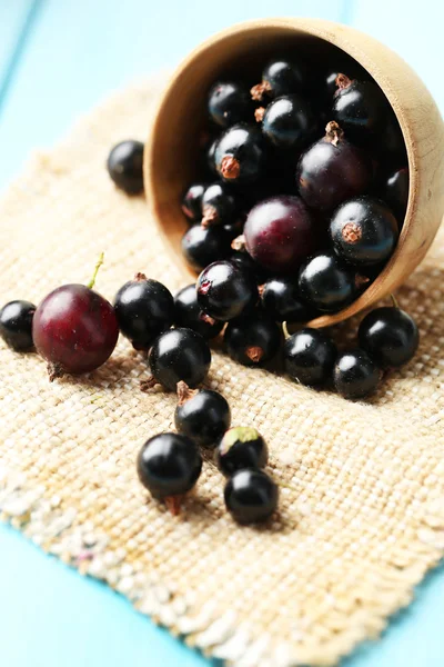 Mogna svarta vinbär i skål — Stockfoto