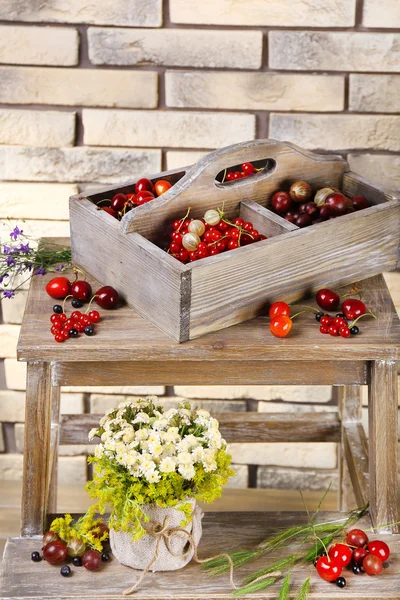Bacche fresche in scatola di legno — Foto Stock
